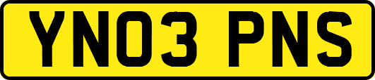 YN03PNS