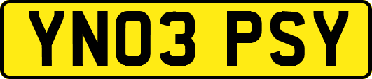 YN03PSY