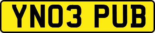 YN03PUB
