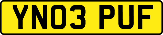 YN03PUF
