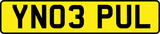YN03PUL