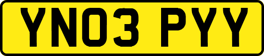 YN03PYY
