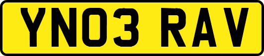 YN03RAV