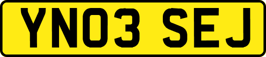 YN03SEJ