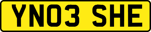 YN03SHE
