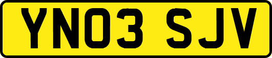 YN03SJV