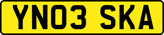 YN03SKA
