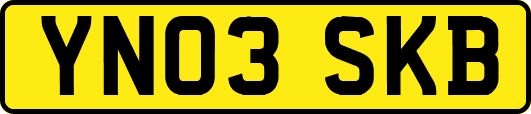 YN03SKB