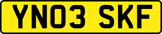 YN03SKF