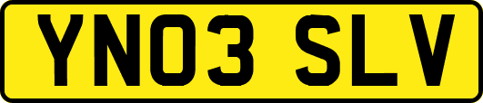 YN03SLV
