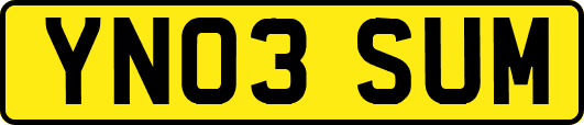 YN03SUM