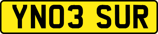 YN03SUR