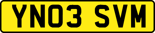 YN03SVM
