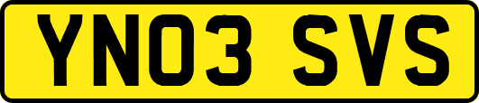 YN03SVS