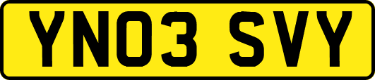 YN03SVY