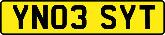 YN03SYT