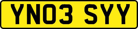 YN03SYY