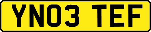 YN03TEF