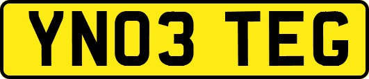 YN03TEG