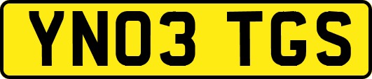 YN03TGS