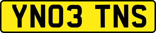YN03TNS