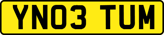 YN03TUM