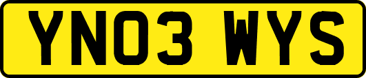 YN03WYS