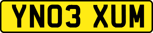 YN03XUM