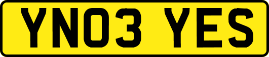 YN03YES