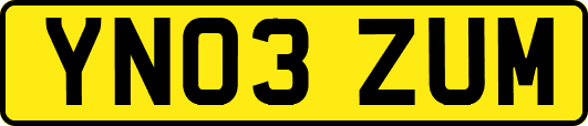 YN03ZUM