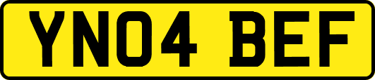 YN04BEF