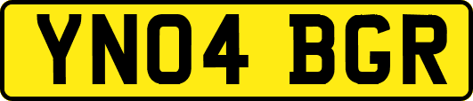 YN04BGR