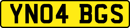 YN04BGS