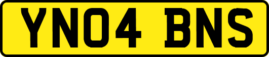 YN04BNS