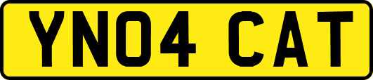 YN04CAT