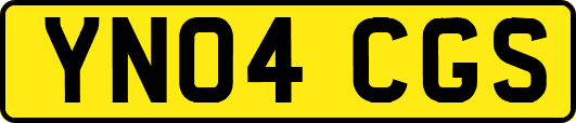 YN04CGS