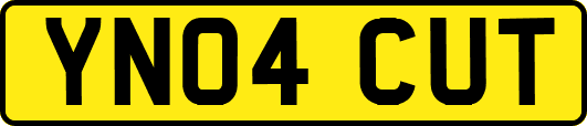 YN04CUT