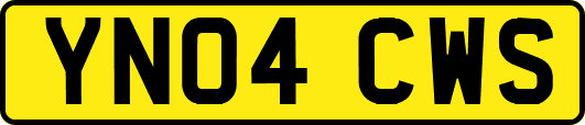 YN04CWS