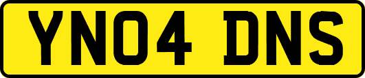 YN04DNS