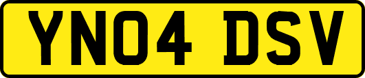 YN04DSV