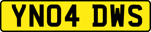 YN04DWS