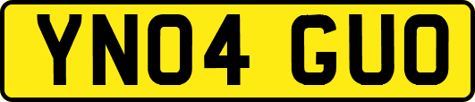 YN04GUO