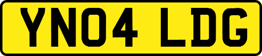 YN04LDG