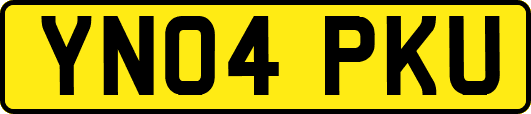 YN04PKU