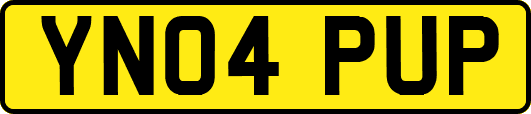 YN04PUP