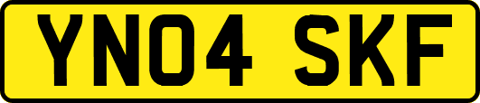 YN04SKF