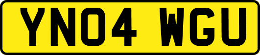 YN04WGU