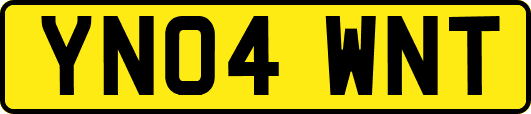 YN04WNT