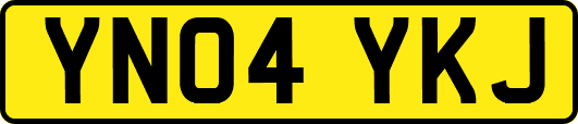 YN04YKJ