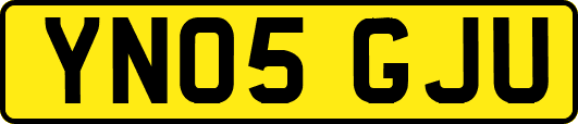 YN05GJU